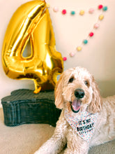 Load image into Gallery viewer, It’s My Birthday!
