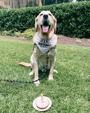 Load image into Gallery viewer, It’s My Birthday!