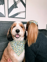 Load image into Gallery viewer, Simply The Zest Set