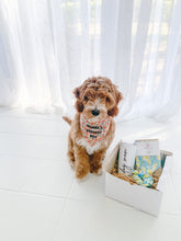 Load image into Gallery viewer, Customization