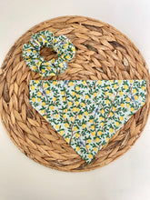 Load image into Gallery viewer, Simply The Zest Set