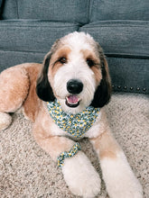 Load image into Gallery viewer, Simply The Zest Set