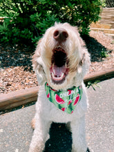 Load image into Gallery viewer, Customization