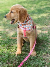 Load image into Gallery viewer, Flower Power - PawmettoPup
