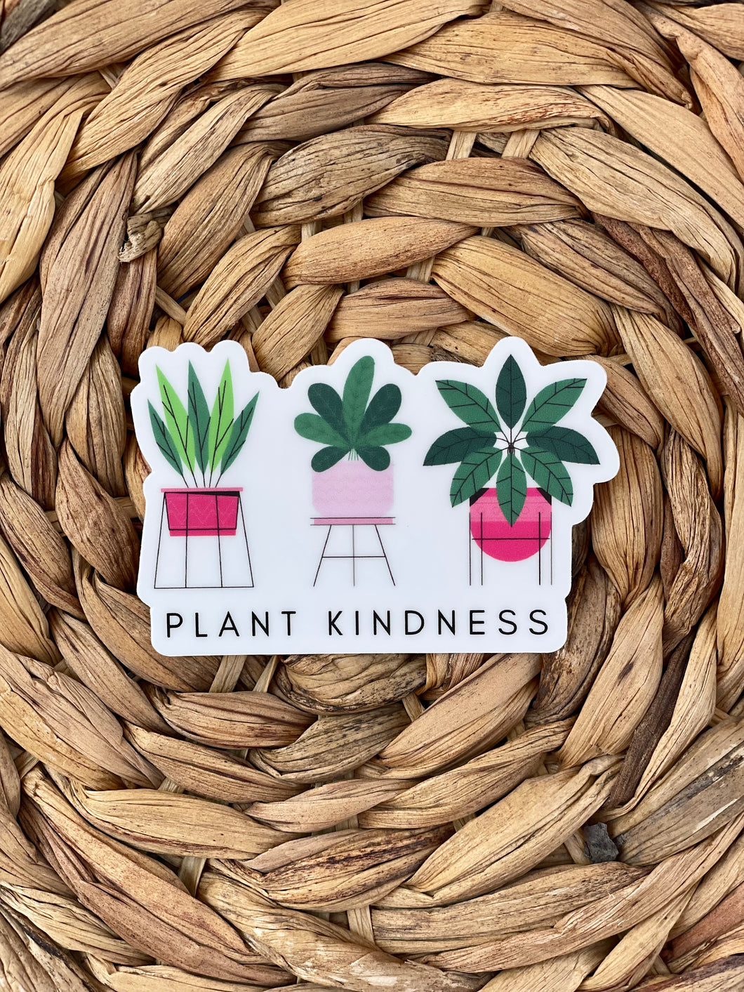 Plant Kindness